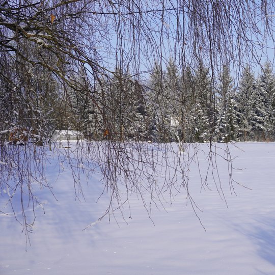 Iliustracija